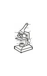 Microscope Coloring Answer Key By Biologycorner  TPT sketch template