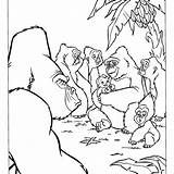 Baby Gorilla Coloring Pages sketch template