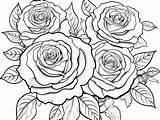 Garden Of Roses Coloring  Page sketch template
