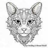 Head Coloring Pages  Free & Printable sketch template