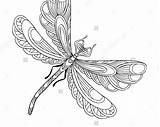 Dragonfly Coloring Pages Printable At GetColoringscom  Free printable sketch template