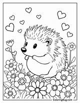 40 Hedgehog Coloring Pages Free Printable PDFs sketch template