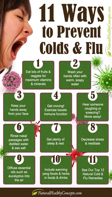 Best Way To Prevent A Cold - Just For Guide