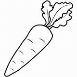 Carrot Clip Art Coloring  Vrogueco sketch template