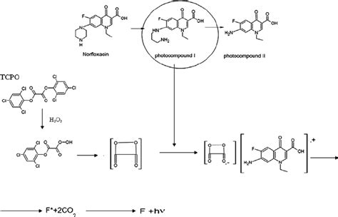 Chemiluminescent reaction of POs using H 2 O 2 as oxidant and... | Download Scientific Diagram