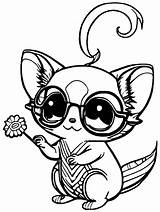 Cute Sugar Glider With Glasses Coloring Page · Creative Fabrica sketch template