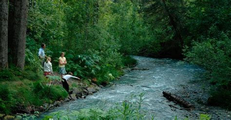 Mount Alyeska Hiking Trails: Hiking For All Fitness… | ALASKA.ORG