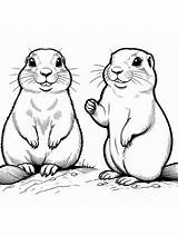 Gopher Coloring Pages sketch template