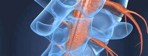 Spinal Cord Tumors | Johns Hopkins Medicine