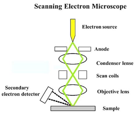 Scanning Electron Microscopy - SEM - Advancing Materials