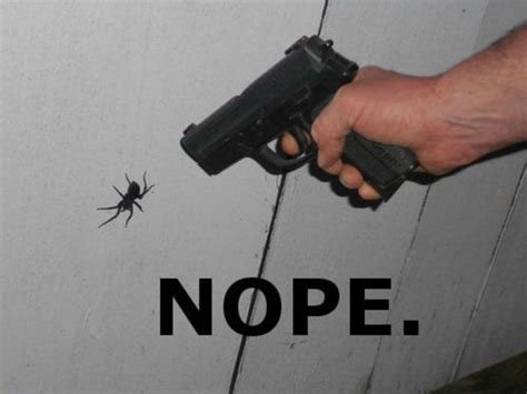 Nope Spider