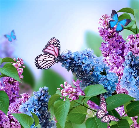 Butterflies And Spring Wallpapers - Wallpaper Cave