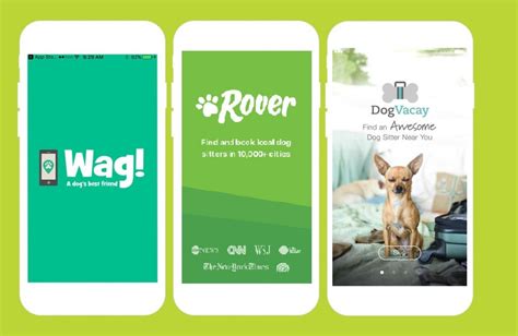 Dog Walking App Development- Turn Busy Dog Owners Into Customers?