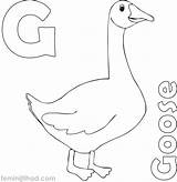 Mother Goose Coloring Pages At GetColoringscom  Free Printable sketch template