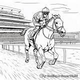 Secretariat Coloring Pages  Free & Printable sketch template