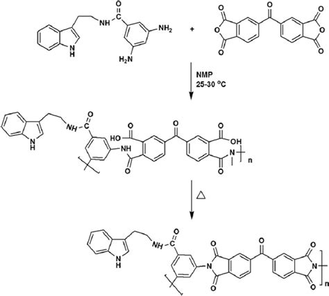 SCHEME 2. Synthesis of polyimide. | Download Scientific Diagram