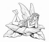 Fairy Coloring Pages  Free Printable For Kids sketch template