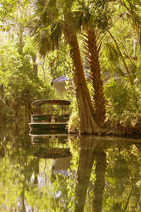 Silver Springs Glass Bottom Boats Photograph by Alexandra Till - Fine ...