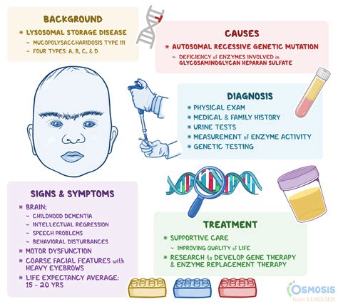 Sanfilippo Syndrome: What It Is, Signs, Symptoms, Diagnosis, and More | Osmosis