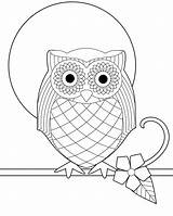 OWL COLORING PAGES  Coloring Pages sketch template