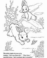 Free Printable Rabbit Coloring Pages For Kids sketch template