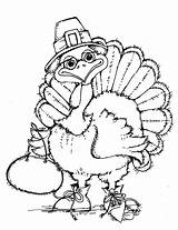 Thanksgiving Turkey Coloring Pages Sketch Page sketch template
