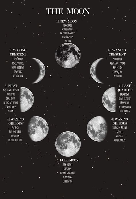 Cycling - Moon Phase Poster, Lunar Phases and Meanings, Space Poster, Night Sky Print, Witch Art ...