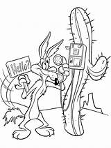 Coyote Looney Tunes Coloring Pages  Cool sketch template