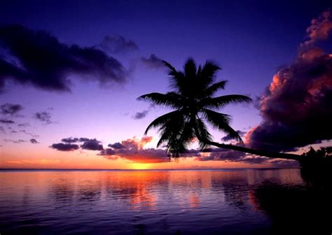 Tropical Beach Zoom Background - IMAGESEE