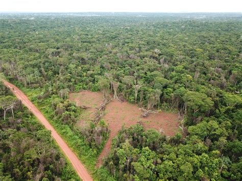 Amazon Burning | Rainforest 4 Climate Project in Bolivia | AQUA-FIRMA ...