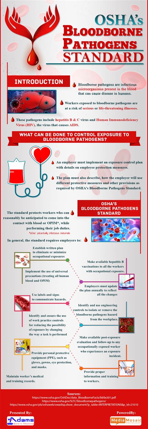 BloodBorne Pathogen Standards - Infographic | Adams Safety Training