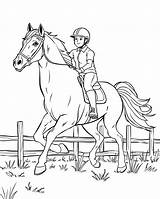 105 Horse Coloring Pages Free PDF Printables sketch template