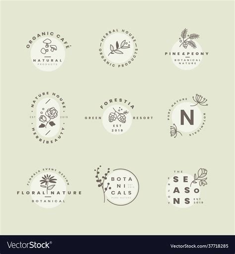 Paper Handwritten Logo Nature Logo Floral Logo Watermark Logo Botanical Logo Photography Logo ...