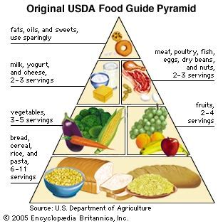 dietary guideline: Food Guide Pyramid | Encyclopedia Britannica