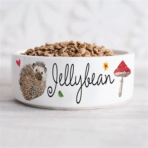 Ceramic Hedgehog Food Bowl Personalized Bowl Hedgehog on - Etsy