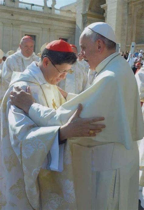 Pope Francis promoted Luis Antonio Cardinal Tagle to Cardinal-Bishop, the highest title of a ...