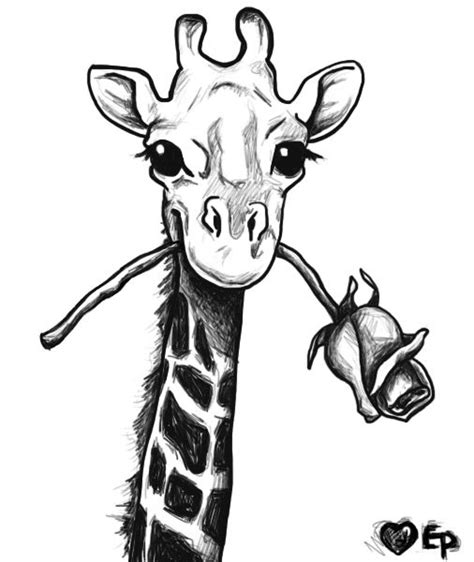 giraffe drawing - Google Search | Giraffe art, Giraffe drawing, Giraffe ...