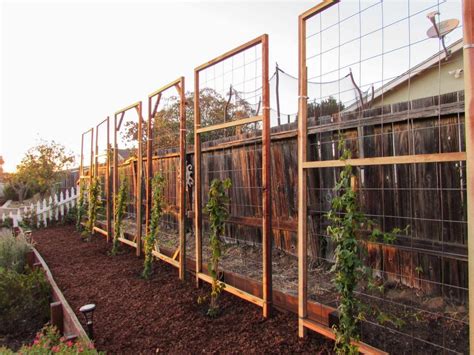 How to Build a Trellis: Inexpensive & Easy Designs ~ Homestead and Chill