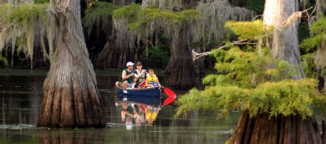 Caddo Lake State Park — Texas Parks & Wildlife Department