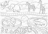 Zoo Colouring Pages Sketch Coloring Page sketch template