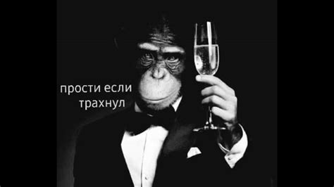 Create meme "monkey in a suit with a glass, monkey with a glass meme ...