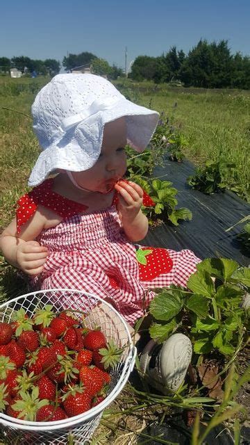 Berry Picking Fun Fall Activities, Local Activities, Cottagecore Life ...