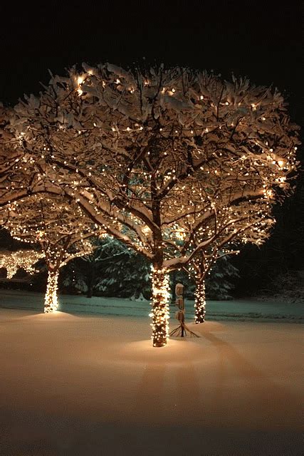 Christmas Lights ️ | Christmas lights, Winter christmas, Outdoor christmas