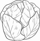 Salad coloring Page  Free Printable Coloring Pages sketch template