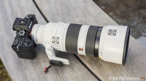 300mm prime or longer zoom lens for wildlife photography? - BlogInstall.com