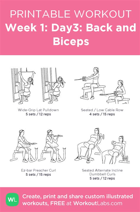 Workout Back And Biceps Same Day - WorkoutWalls