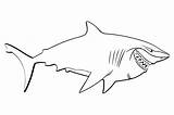 Finding Nemo Shark Coloring Sheet Coloring Pages sketch template