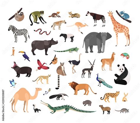 Collection of exotic wild animals isolated on white background. Bundle ...