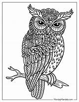 Zentangle Inspired Coloring Pages 2025 sketch template