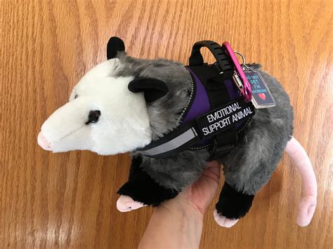 Emotional Support Opossum Possum Stuffed Animal Plushie Toy | Etsy